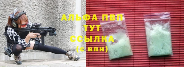 соль ск Новодвинск