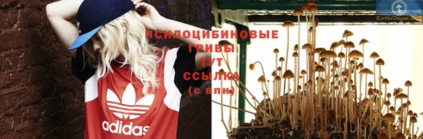 спайс Алексеевка